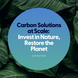 Carbon Solutions at Scale: Invest in Nature, Restore the Planet