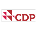TNCC24_SPONSOR_WEB LOGO_CDP
