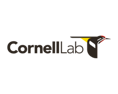 TNCC24_SPONSOR_WEB LOGO_CORNELL LAB