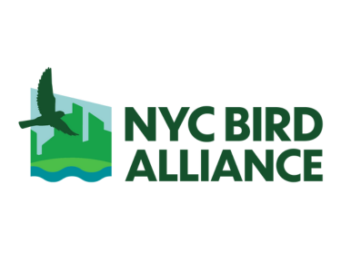 NYC BIRD ALLIANCE LOGO
