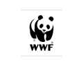 TNCC24_SPONSOR_WEB LOGO_WWF