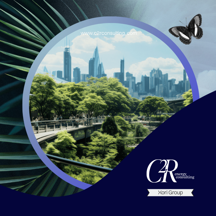 C2R Energy Consulting