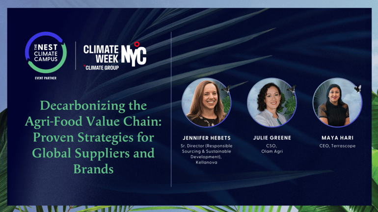 Decarbonizing the Agri-Food Value Chain: Proven Strategies for Global Suppliers and Brands