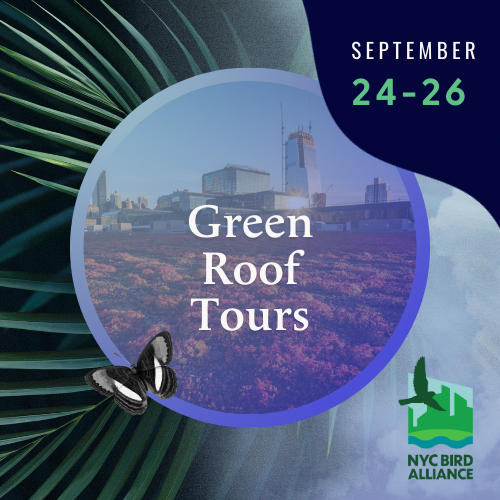 TNCC24_Web_Preview Page_Green roof Tours