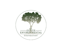 Gulch Environmental