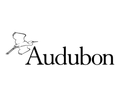 National Audubon