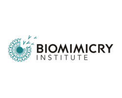the bio mimicry institute