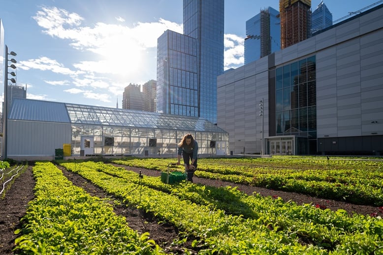 Javits-Center-Farm-Hudson-Yards-Manhattan-NYC-courtesy-The-Nest (1)