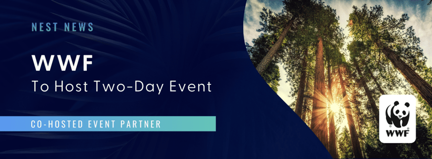 TNCC24_NEST NEWS_WEB_BANNER_WWF