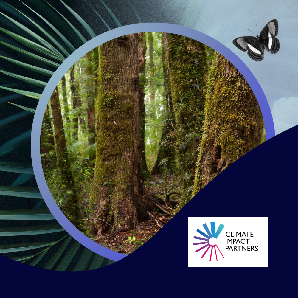 TNCC24_Web_Climate Collective Listing-Climate-Impact-Partner