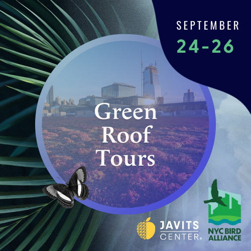 TNCC24_Web_Preview Page_Green roof Tours