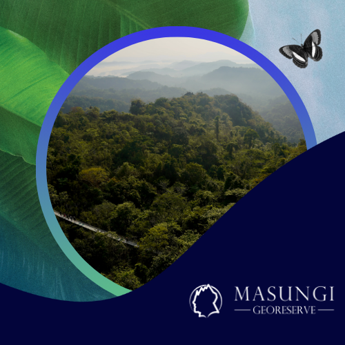 TNCC25_Web_Climate Collective_Masungi