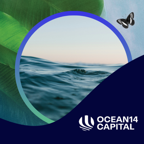 TNCC25_Web_Climate Collective_Ocean_Capital