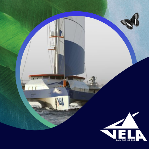 TNCC25_Web_Climate Collective_VELA