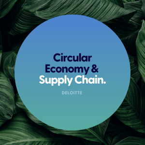 Circular Economy & Supply Chain