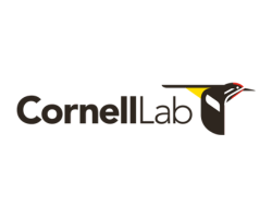 TNCC24_SPONSOR_WEB LOGO_CORNELL LAB