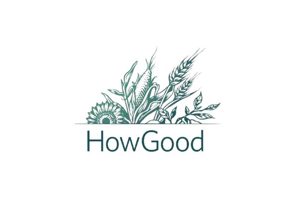 How Good logo (1)