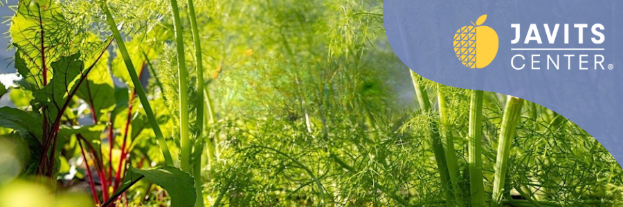 TNCC25_Special Features_31 (6)