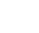 ViVE